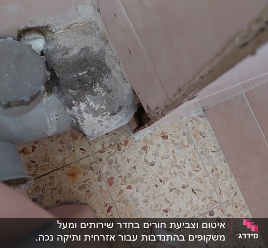 פינה עם קיר ורצפה מתקלפים, כתמי רטיבות